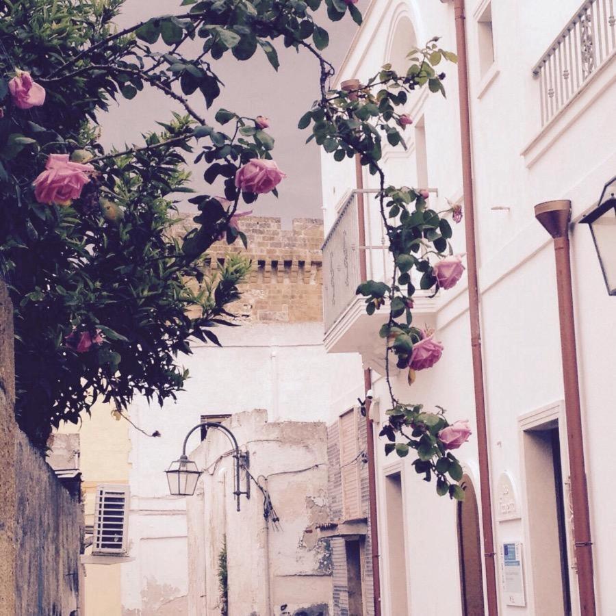 Il Vicoletto Bed & Breakfast Pulsano Bagian luar foto